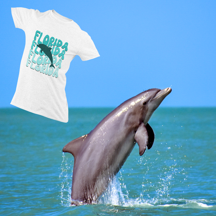 Dolphins in Florida: Fun Facts and Conservation Efforts