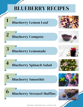 Load image into Gallery viewer, Blueberry Recipe Book
